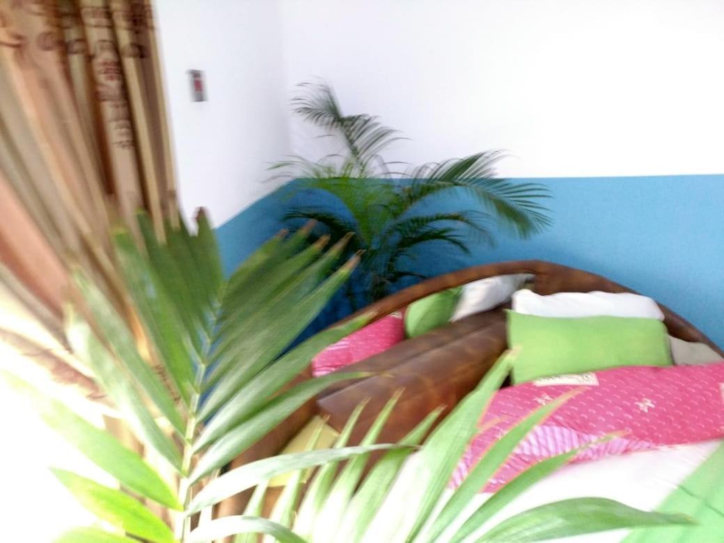 Elizz Guest House Janman Zewnętrze zdjęcie